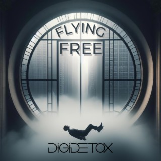 Flying Free lyrics | Boomplay Music