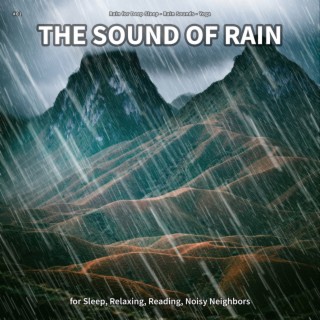 #01 The Sound of Rain for Sleep, Relaxing, Reading, Noisy Neighbors
