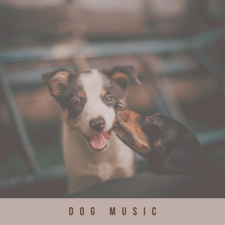 Sweet Songs For Dogs | Boomplay Music