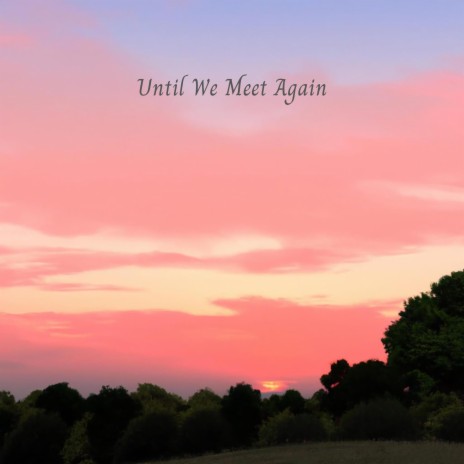 Until We Meet Again | Boomplay Music