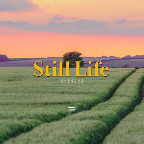 Still Life | Boomplay Music