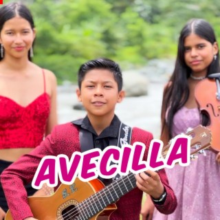 Avecilla