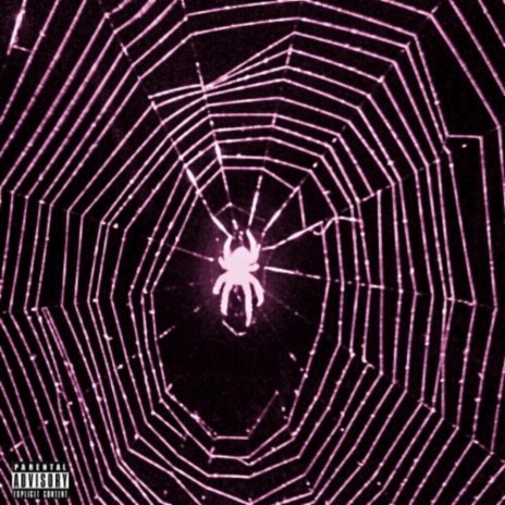 Spider Web | Boomplay Music