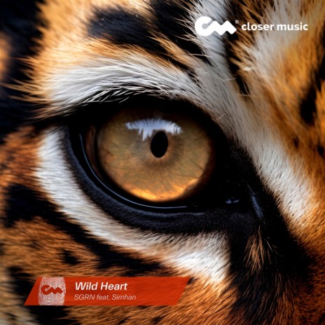 Wild Heart ft. Simhan | Boomplay Music