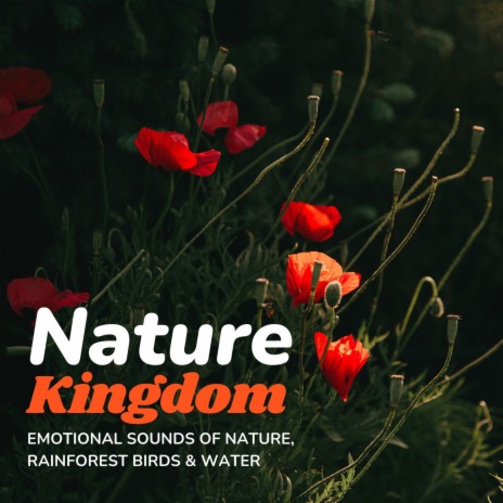 Background Music to Feel Good with Nature | Boomplay Music