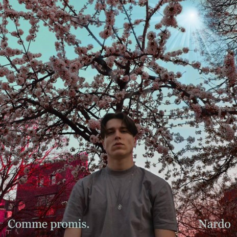 Amour scénarisé | Boomplay Music