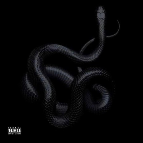 VIPERA | Boomplay Music