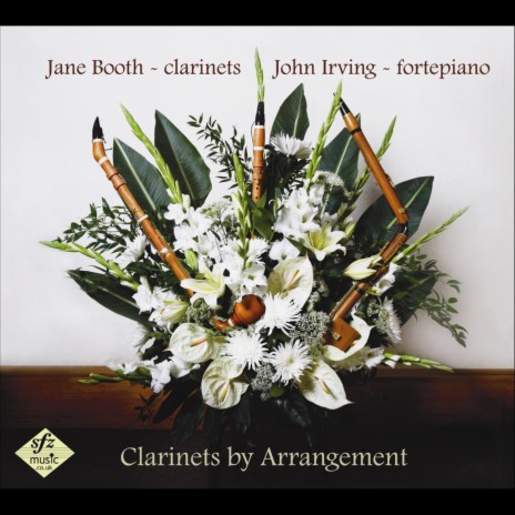 Grande Sonate pour le Piano-Forte avec accompagnement d'un Clarinette, in A Major, K.581: III. Menuetto - Trio 1 - Trio 2 ft. John Irving | Boomplay Music