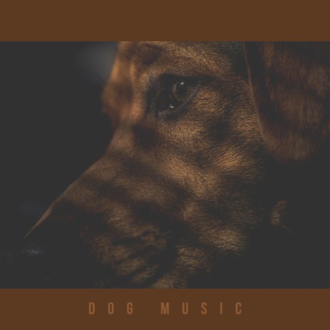 Calming Songs For Dogs