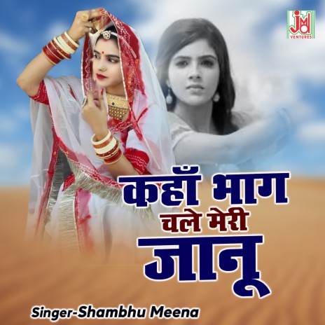 Kaha Bhag Chale Meri Jaanu | Boomplay Music