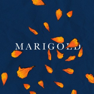 Marigold