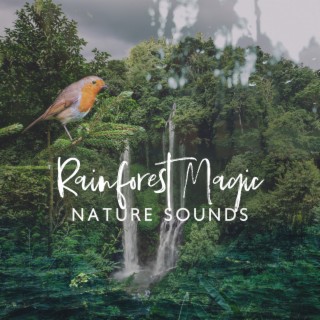 Rainforest Magic: Nature Sounds (Jungle Sounds, Birdsongs, Waterfall, Tropical Rain, Amazon, River Flowing, Ringtones)
