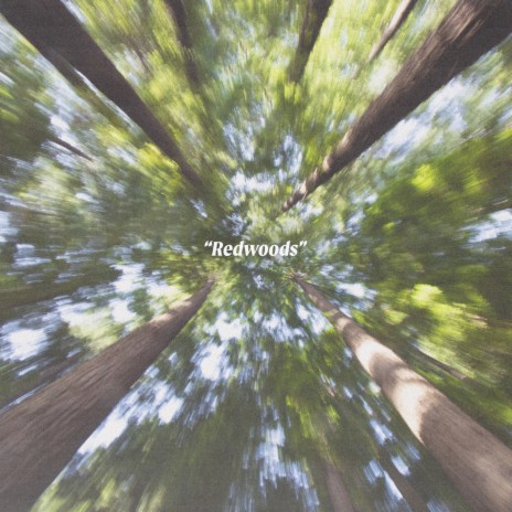 Redwoods ft. Melatone & Noé Mina | Boomplay Music