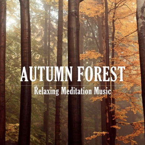 Autumn Forest | Boomplay Music