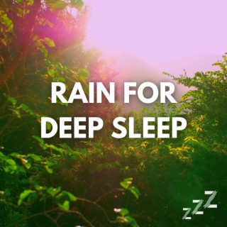 Half Hour of Loopable Rain Sounds for Sleeping (30 Minutes, No Fade)