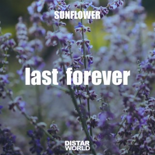 Last Forever