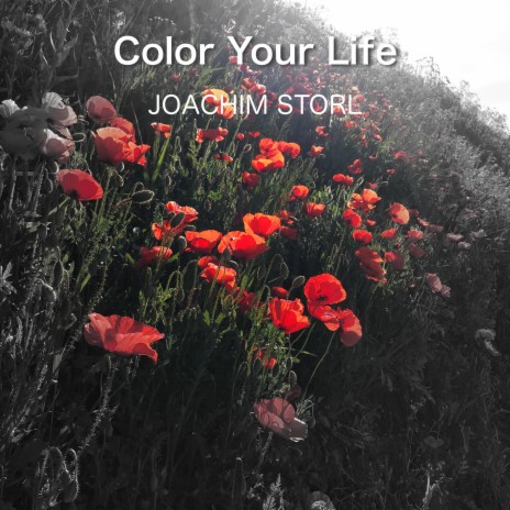 Color Your Life | Boomplay Music