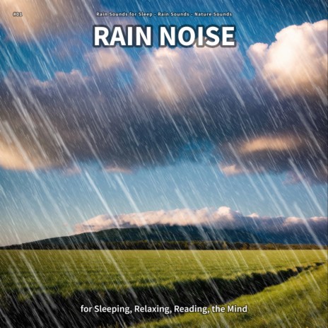 Rain Noise, Pt. 87 ft. Rain Sounds & Nature Sounds