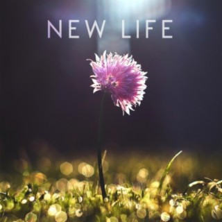 New Life (Original Film Score)