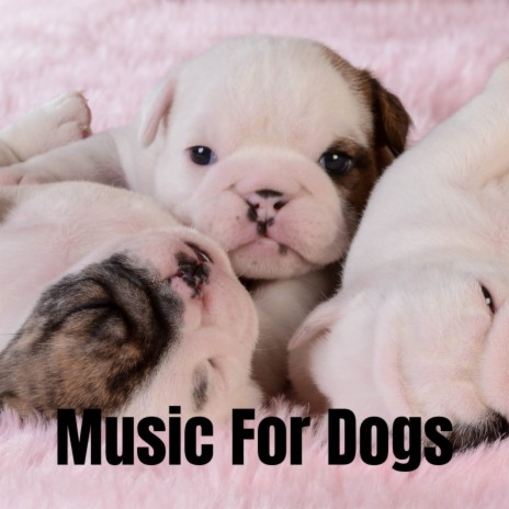 Peaceful Mellow Music ft. Music For Dogs Peace, Calm Pets Music Academy & Relaxing Puppy Music | Boomplay Music