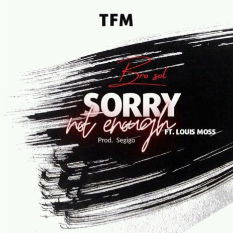 Sorry Not Enough ft. Louis Moss