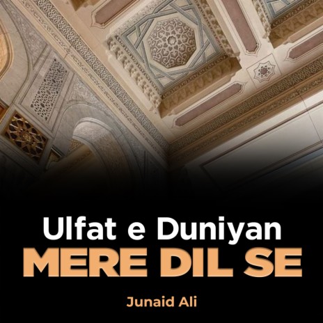 Ulfat e Duniyan Mere Dil Se | Boomplay Music