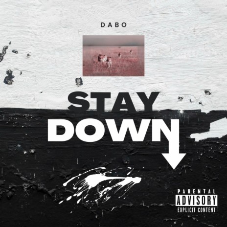 Stay Down (Radio Edit) | Boomplay Music