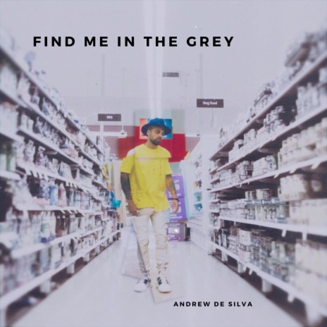 Find Me In The Grey | Boomplay Music