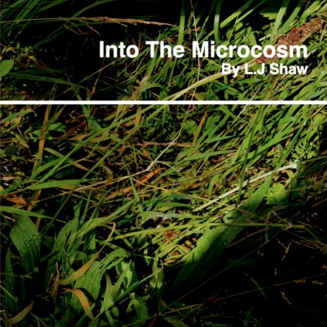 Into The Microcosm | Boomplay Music