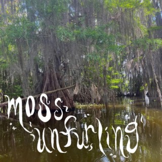 moss unfurling lyrics | Boomplay Music