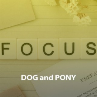 Dog & Pony