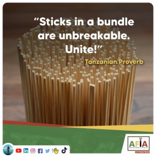 The Power of Unity | AFIAPodcast | African Proverbs