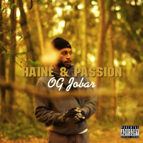 HAINE & PASSION | Boomplay Music