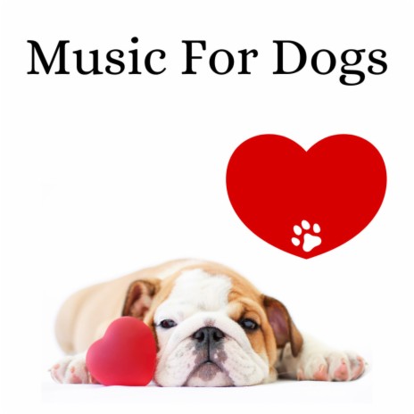 Soft Gentle Music ft. Music For Dogs Peace, Calm Pets Music Academy & Relaxing Puppy Music | Boomplay Music