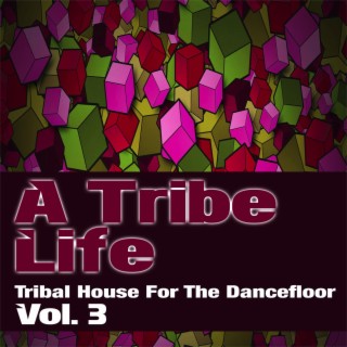 A Tribe Life. 3 - Tribal House for the Dancefloor