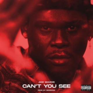 Can't You See