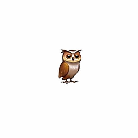 Owl | Boomplay Music