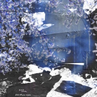 Sakura (8453music Remix)