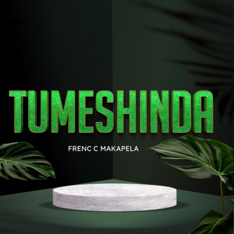 Tumeshinda | Boomplay Music