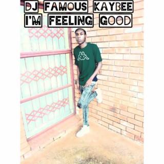 Download Dj Famous Kaybee album songs: I'm Feeling Good