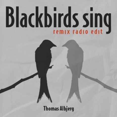 Blackbirds sing (Stefan Storm Remix Radio Edit) ft. Stefan Storm