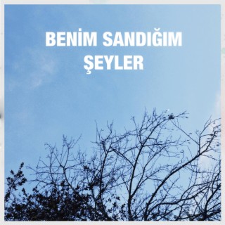 Benim Sandığım Şeyler lyrics | Boomplay Music