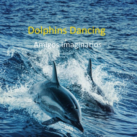 Dolphins Dancing | Boomplay Music