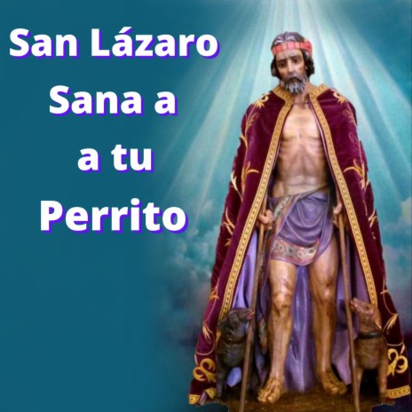 Oración a San Lázaro para Sanar a un Perrito Enfermo