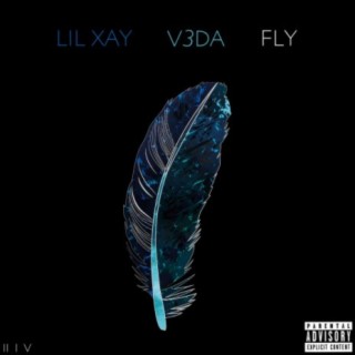 Fly (feat. V3DA)