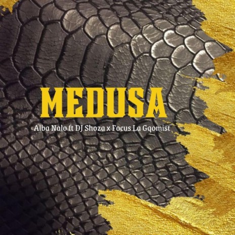 Medusa ft. DJ Shoza & Focus La Gqomist