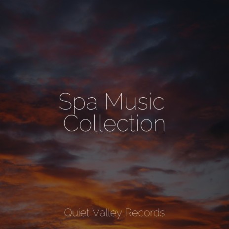 Massage Spa ft. Relaxation Music Guru & Deep Sleep Brown Noise | Boomplay Music