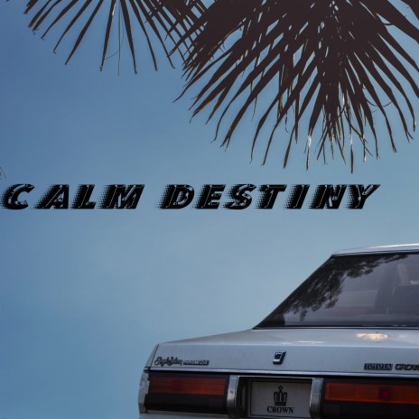 CALM DESTINY | Boomplay Music
