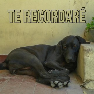 Te Recordaré lyrics | Boomplay Music