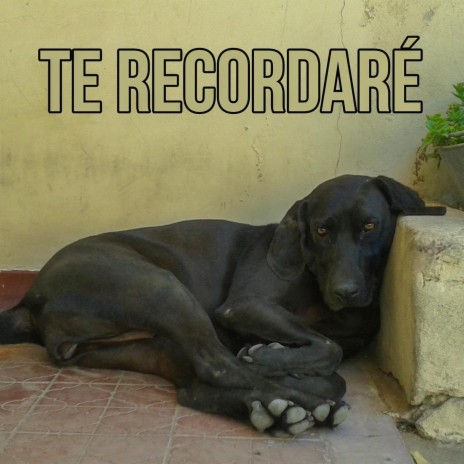 Te Recordaré | Boomplay Music